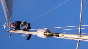 DSC_000001787887