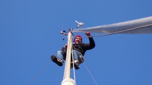 DSC_00000187878878